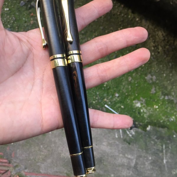 Bút ký gỗ mun sừng cao cấp - góc nhìn 2
