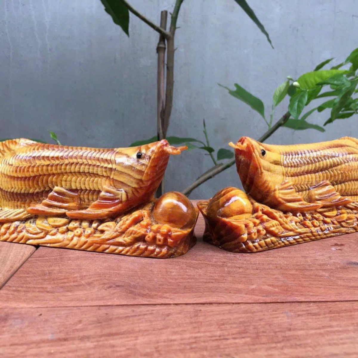 Cá kim long gỗ huyết long ngang 20 cm - Tượng cá