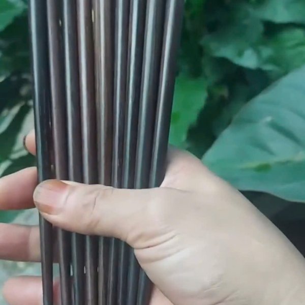 Đũa Nhật đầu nhỏ cao cấp gỗ trắc tự nhiên dài 25cm - góc nhìn 3