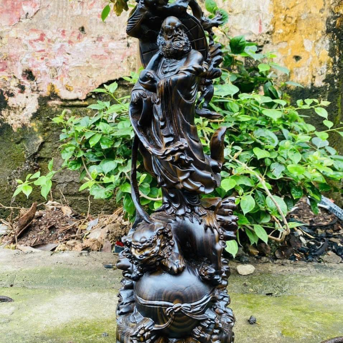 Tượng Đạt Ma phục lân gỗ hương phun giả mun cao 50 cm - Tượng Đạt Ma